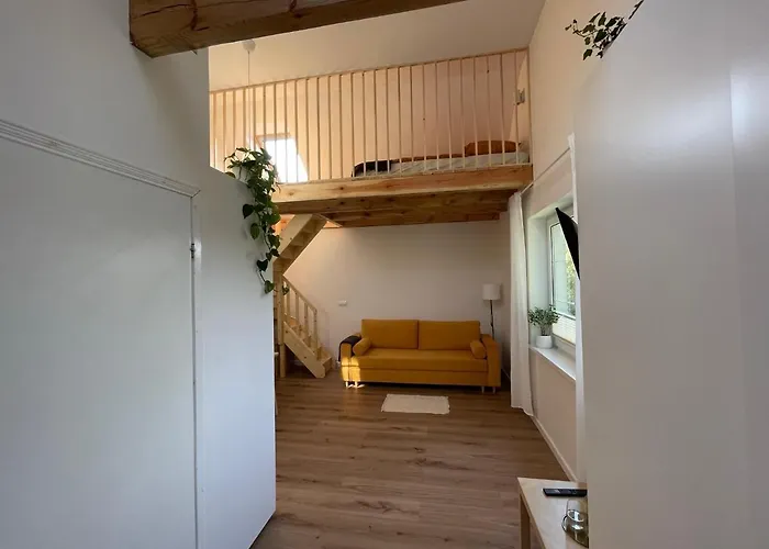 Dowiosnie - W Wielu *